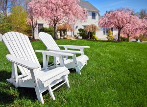 3 Tips to Make Your Backyard Look Beautiful